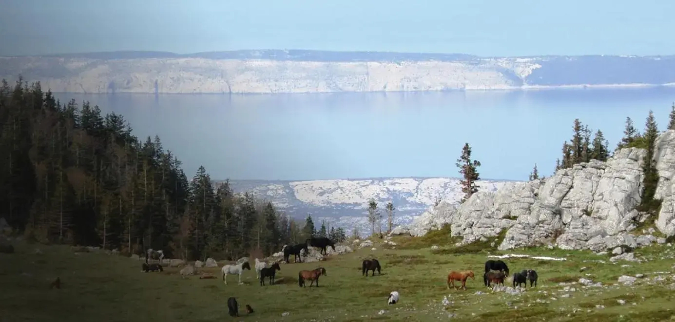 Apartment "King" Cesarica-Karlobag