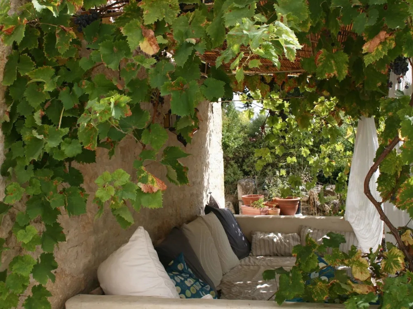 Gite Le Mauzac in 250 Year old Wine