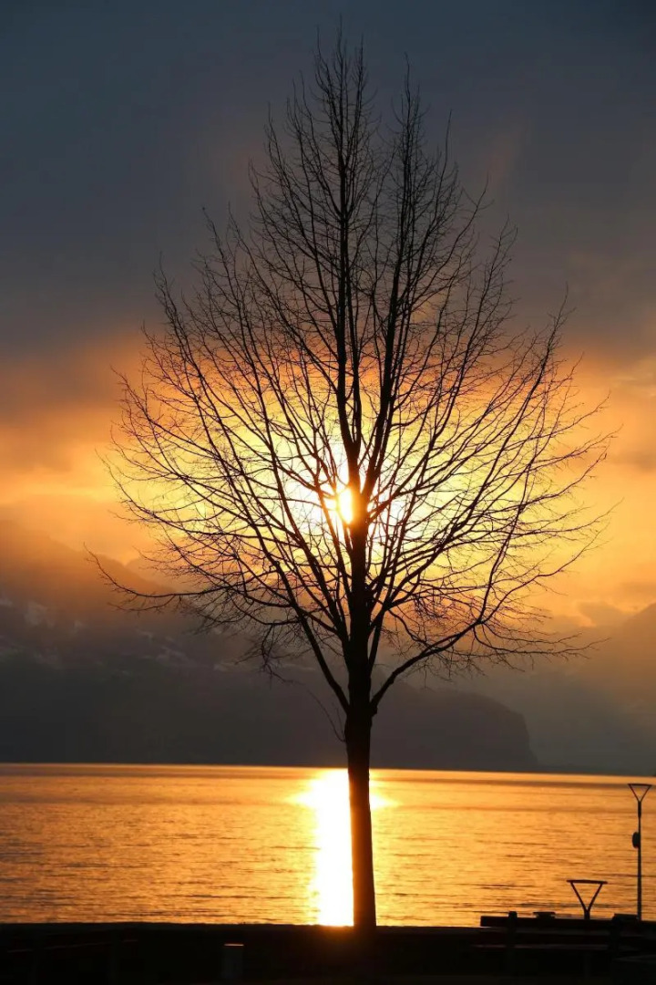 Hotel Seehof Superior