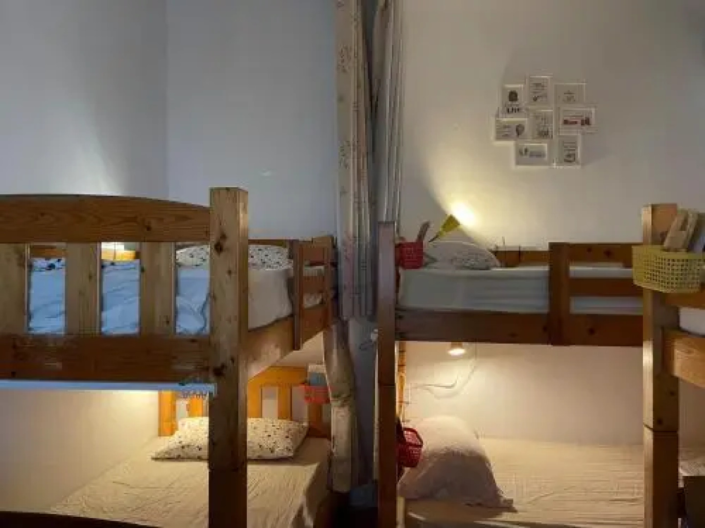 Backpacker Dog Hostel