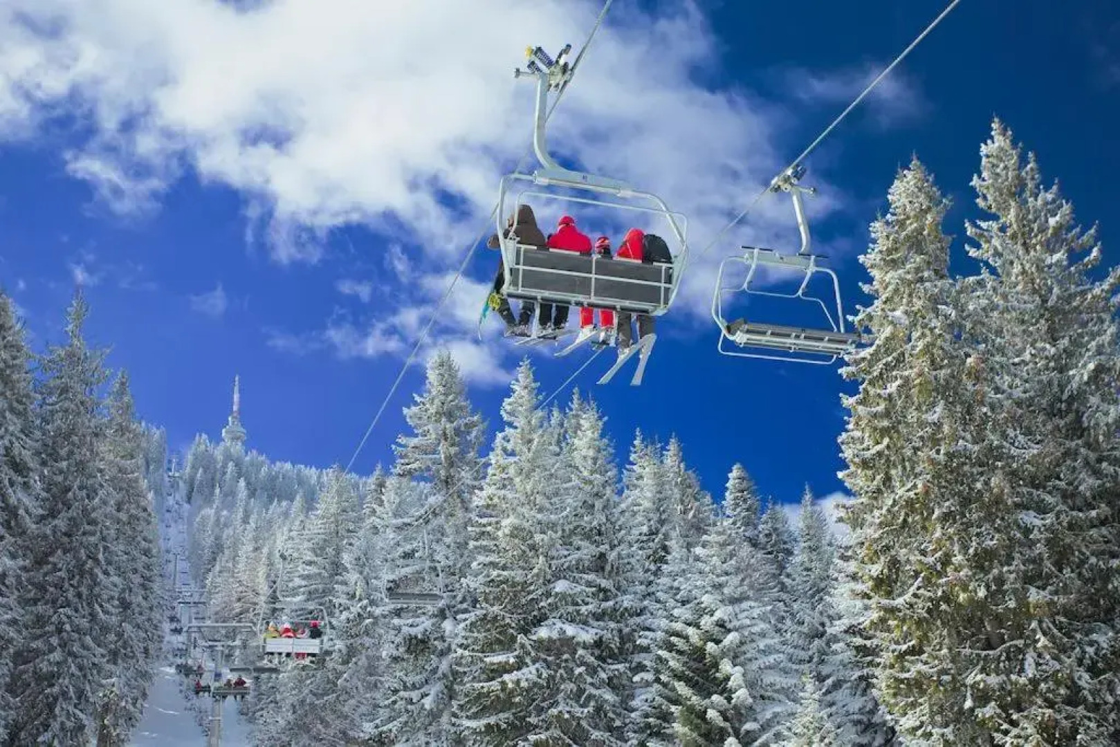 VIVA Flora apartment 607A