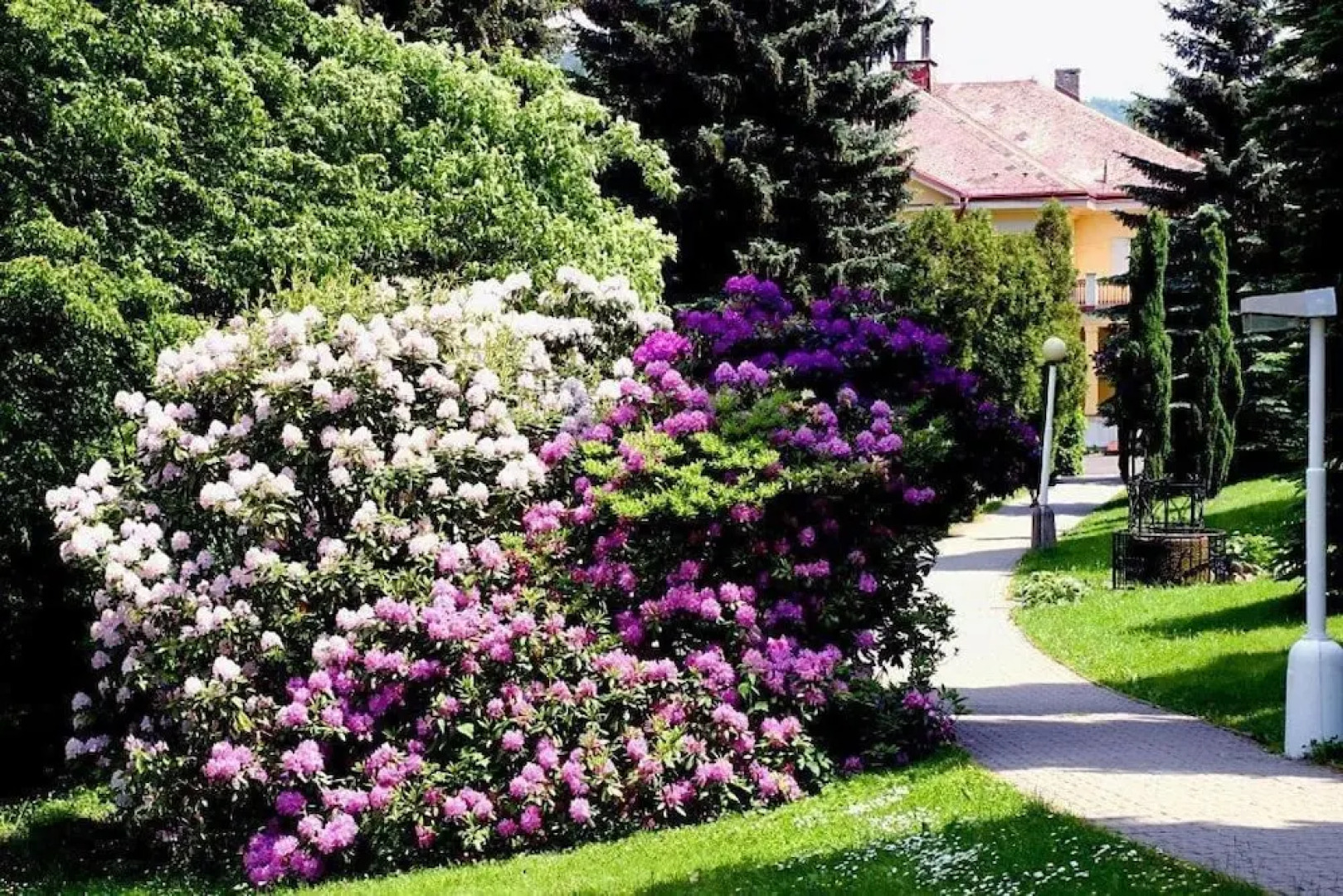 Spa Resort Libverda - Nový Dům