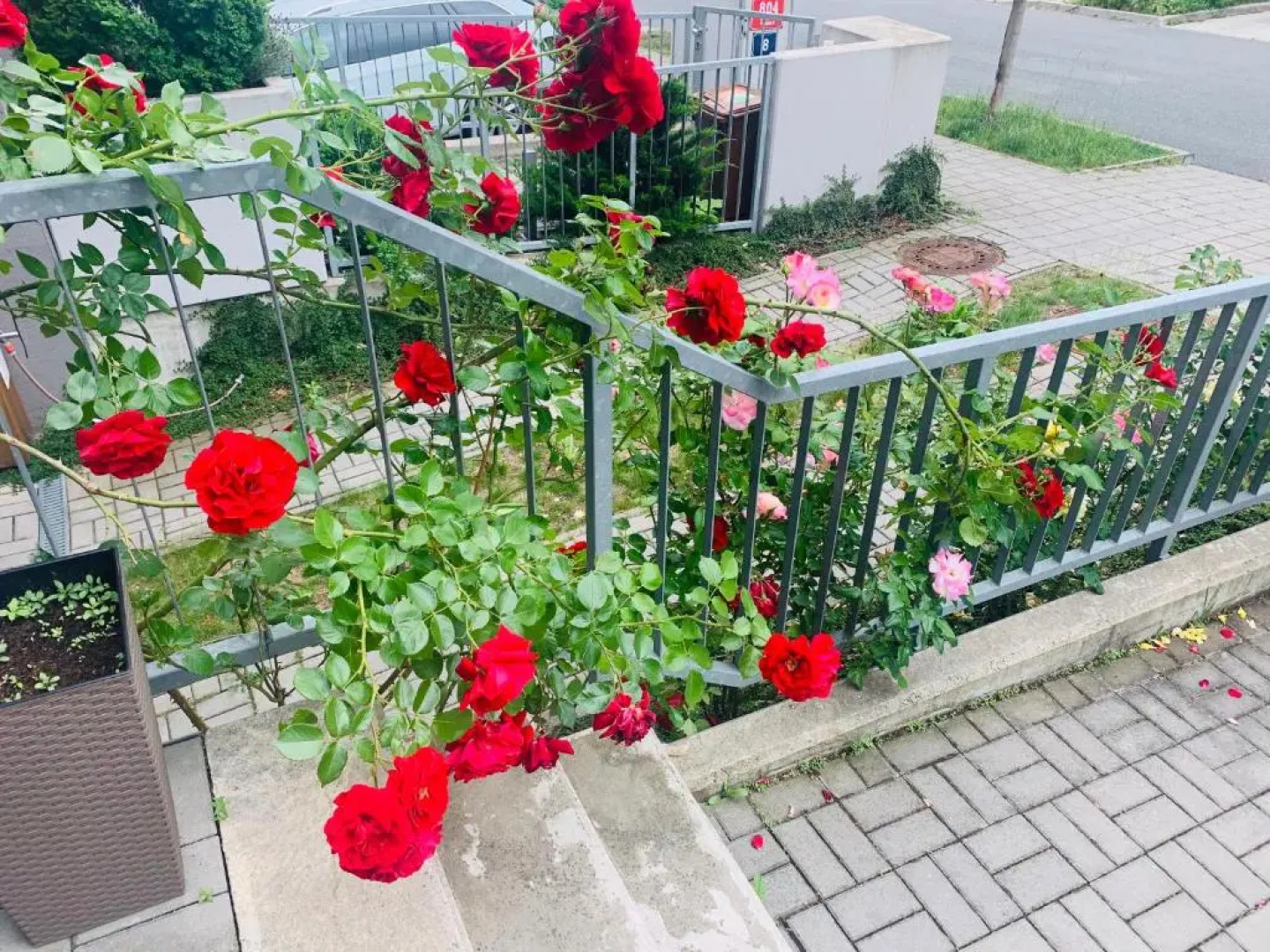 UniqHotel Česky Šternberk