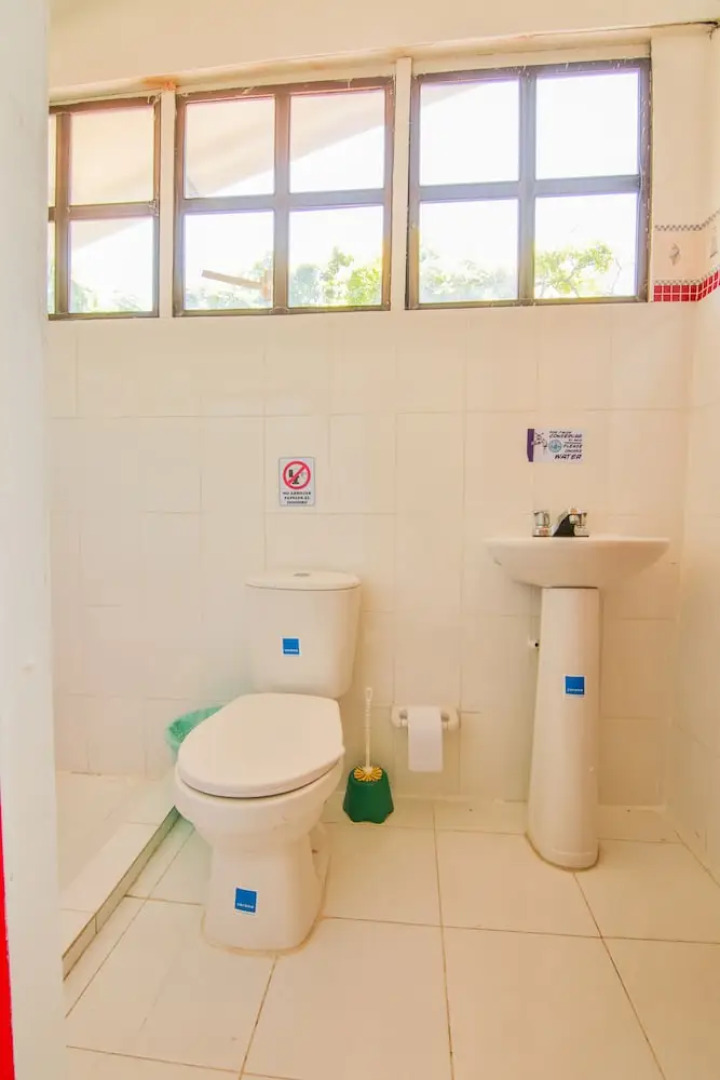 Eco Hotel Casa Lola - Hostel