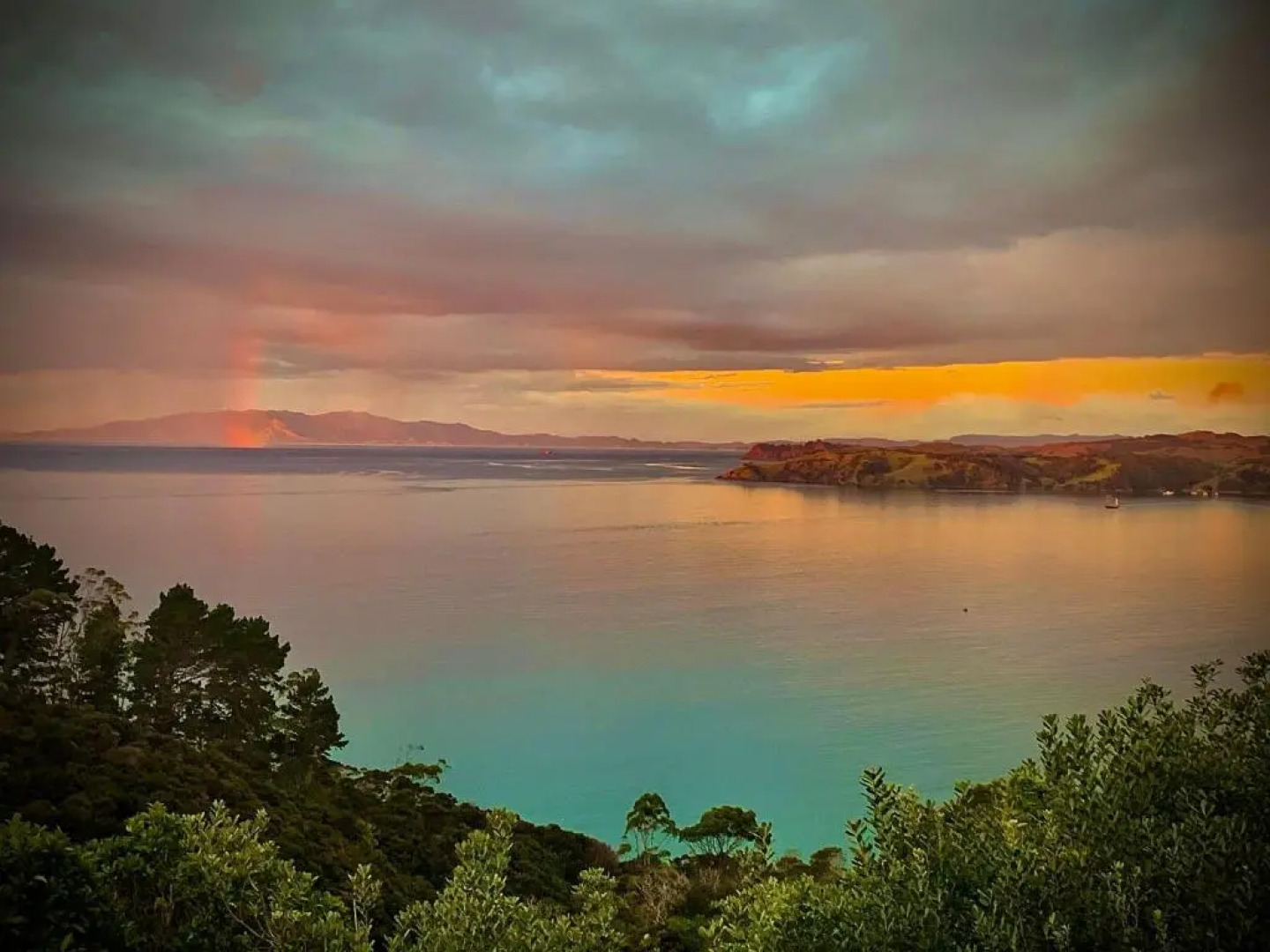 Seaview Sojourn - Waiheke Escapes