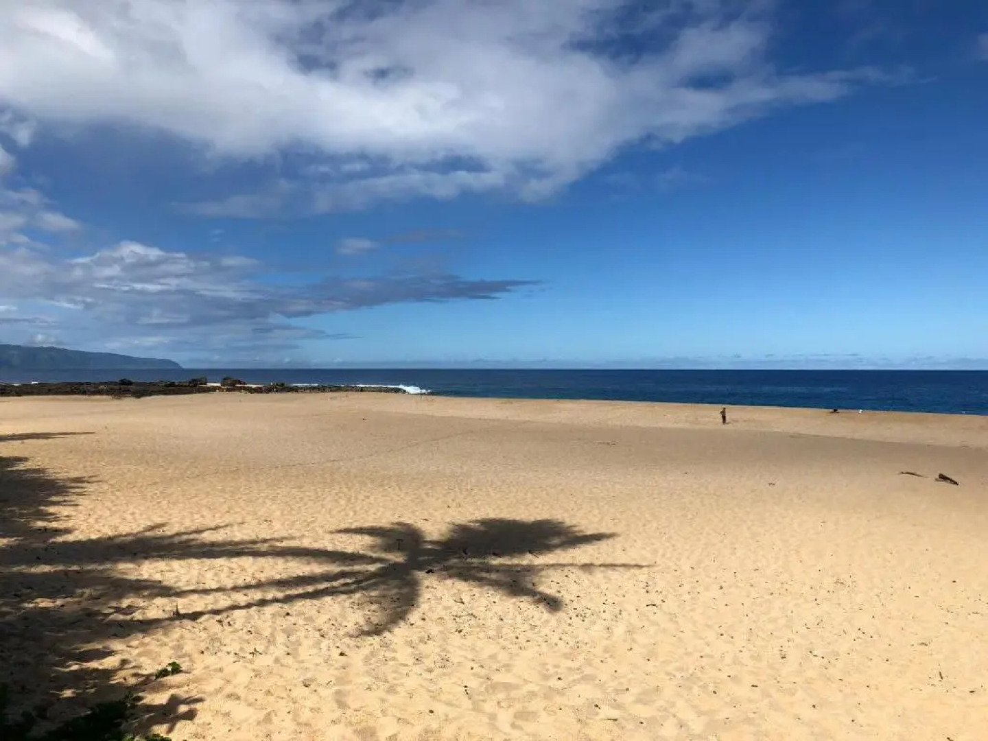Beach Side Studio by Shark's Cove
