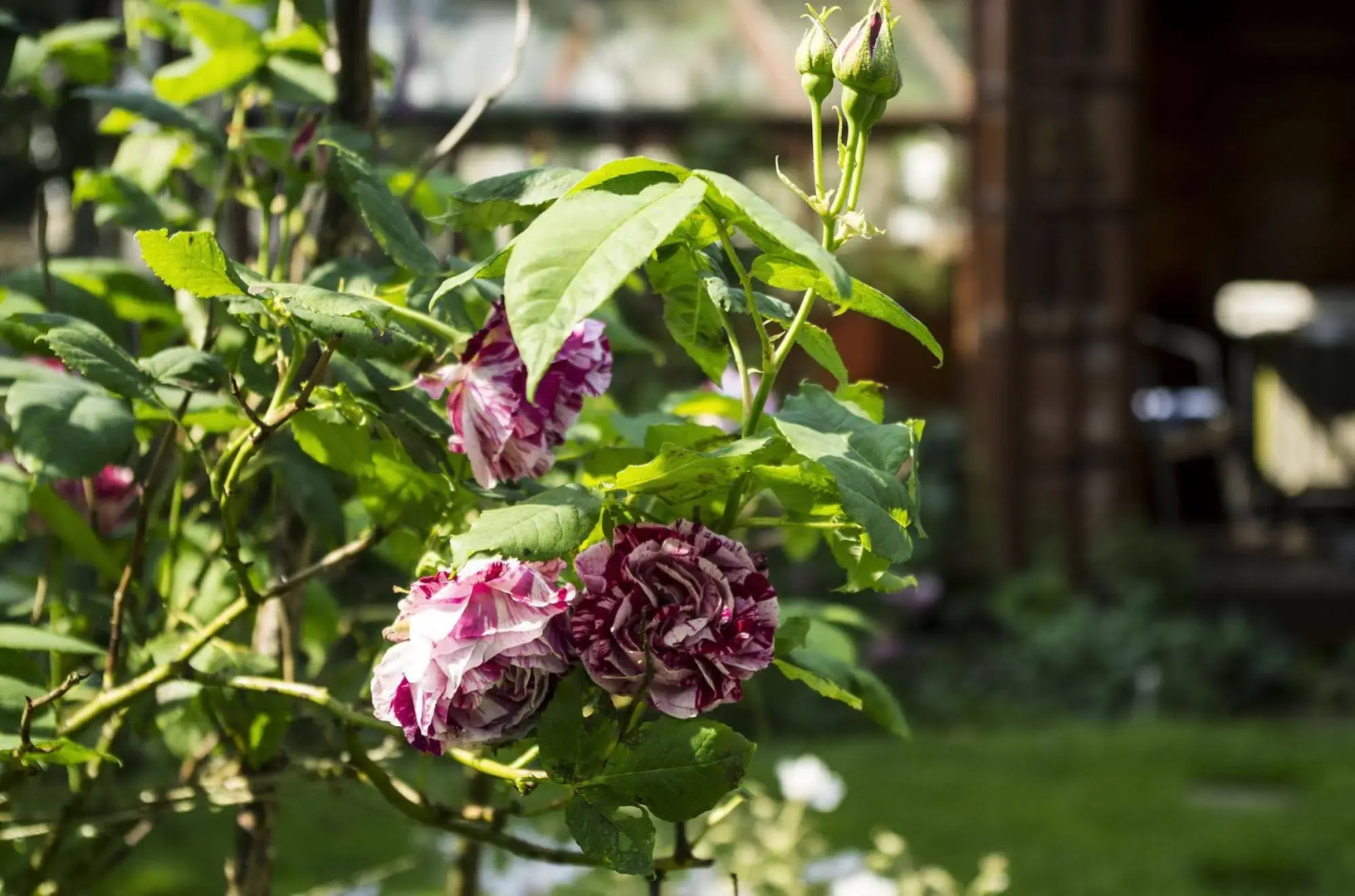 Langdale View Guest House
