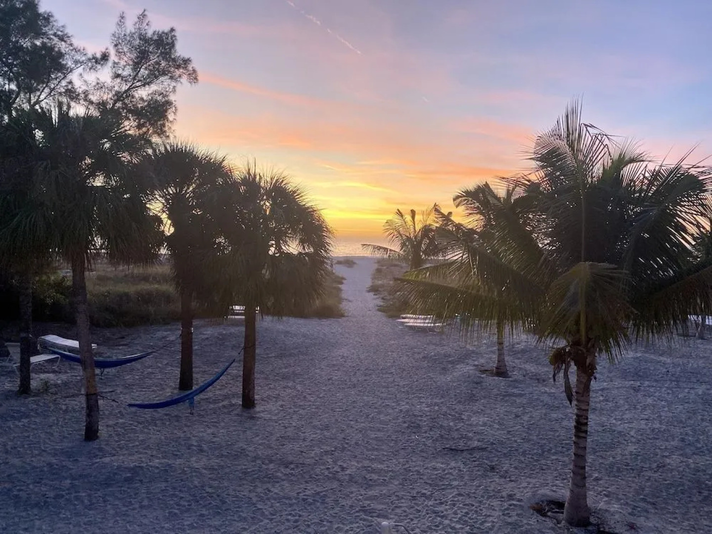 The Molloy - A Boutique Beach Resort