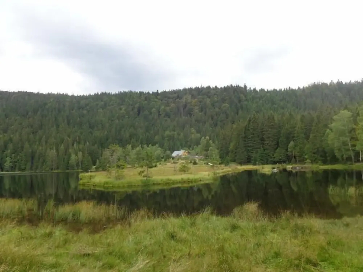 Almhotel Pinter ***Superior