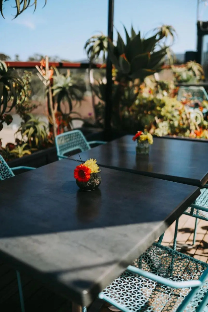 Hotel 1110 - Adults Only