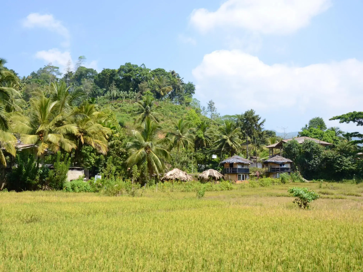 Deniyaya National Motel-sinharaja