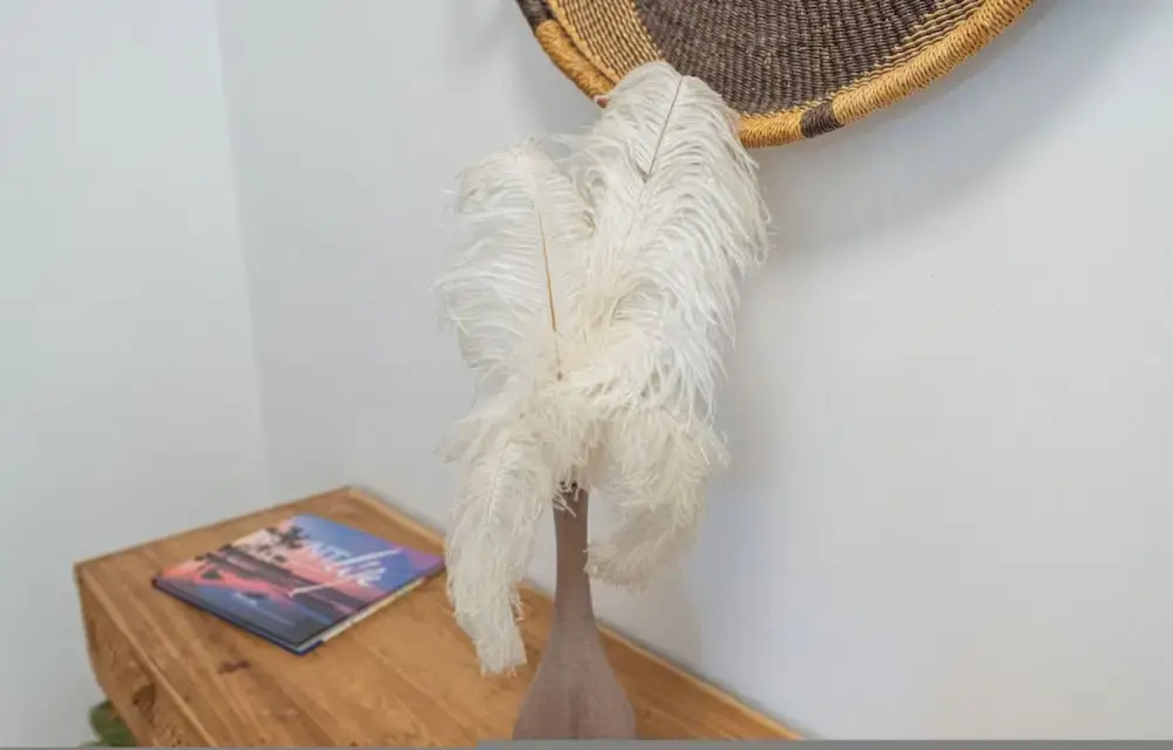 Yanti at Nightcliff Foreshore Pool Shops Cafe