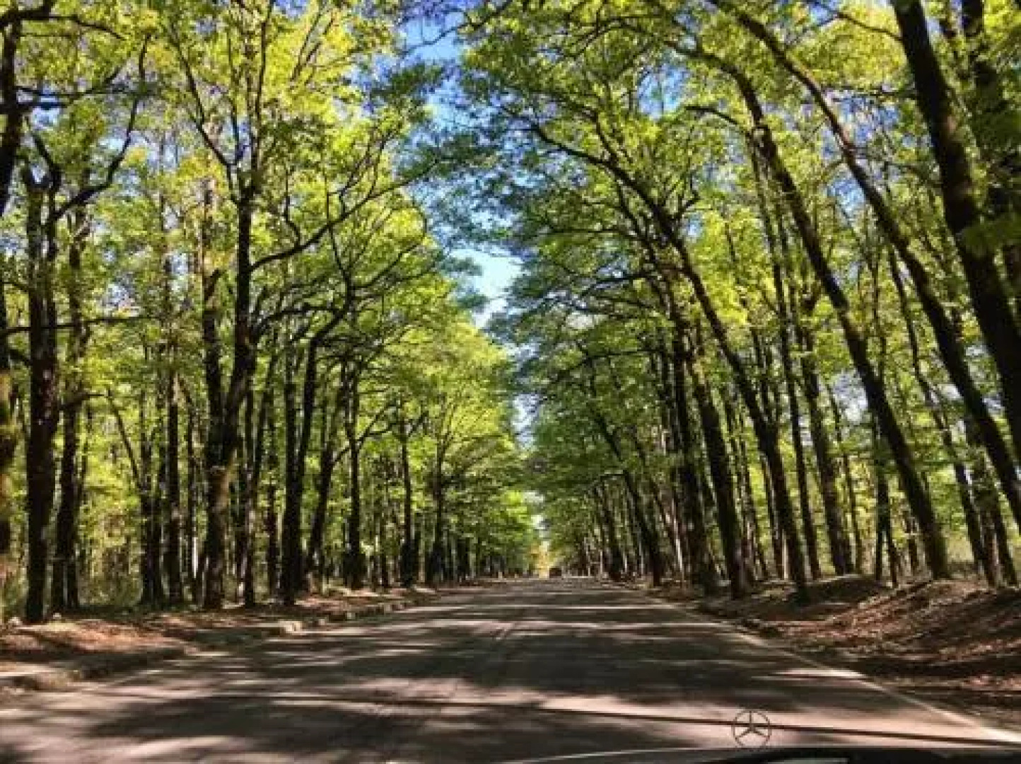 Санаторий Имерети