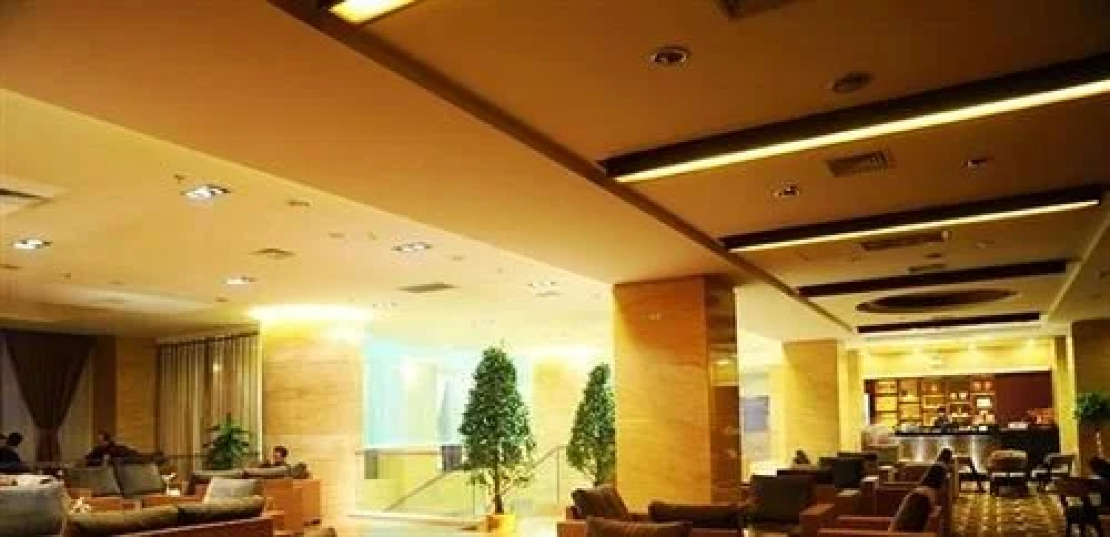 Zixin Hotel (Shaoyang High-speed Railway Station Central Hospital)