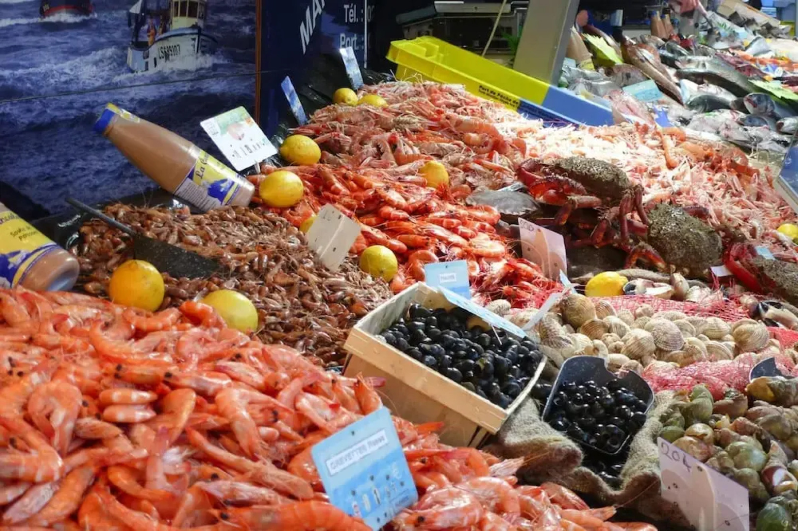 Holiday Home in Criel sur Mer Near sea