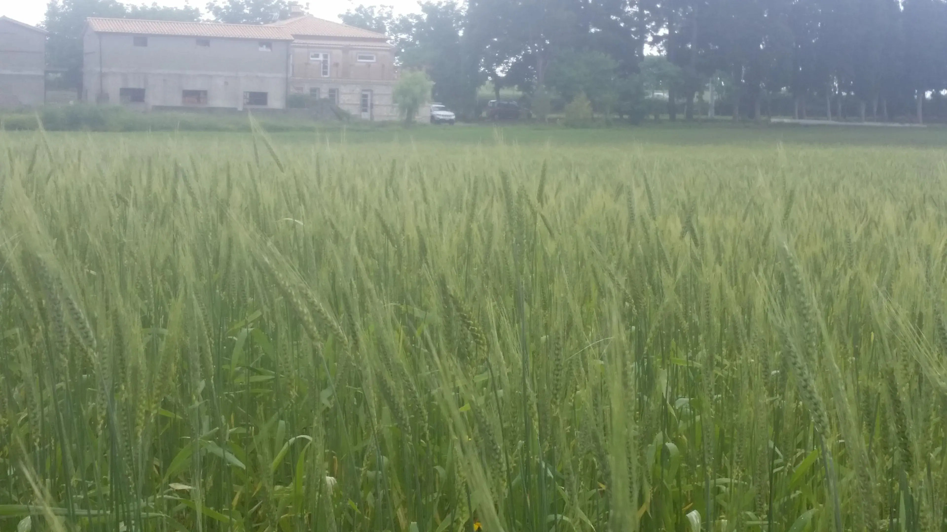 Don Carlo Agriturismo di Charme Bio