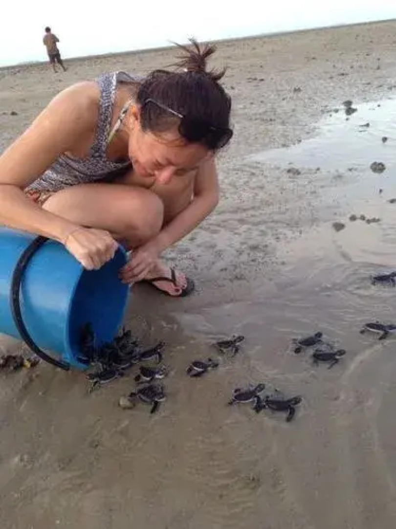 Walai Penyu Resort - Campground