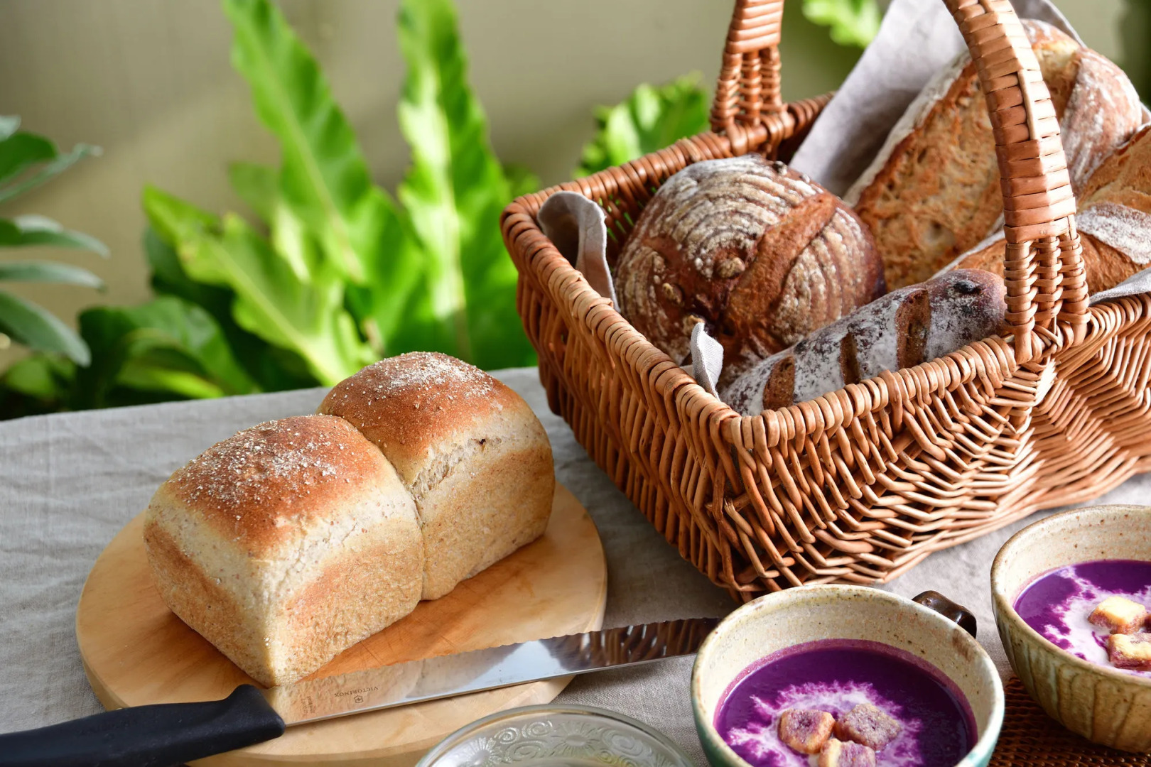 La casita kouri island