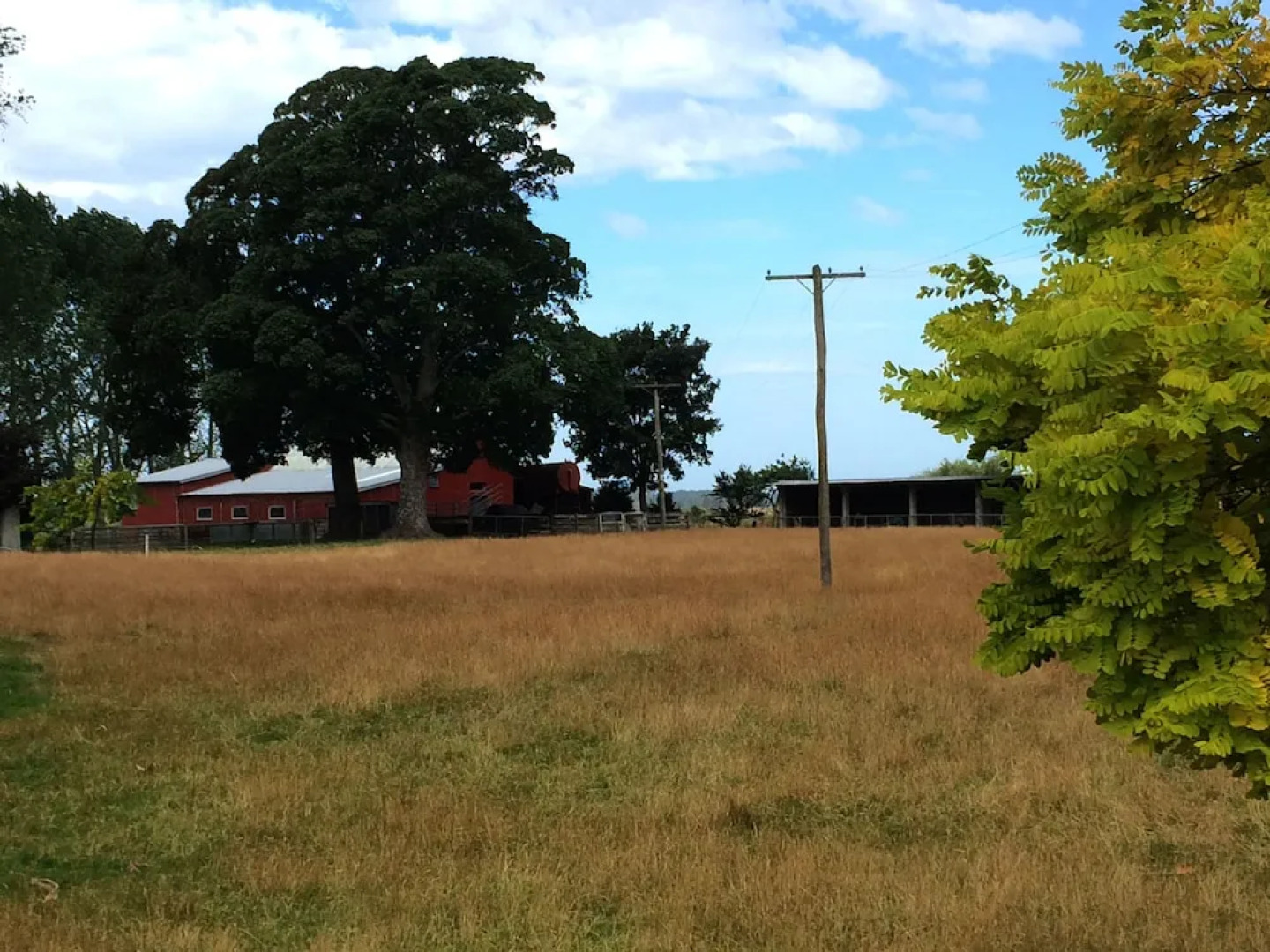 Willowbank Farm Cottage