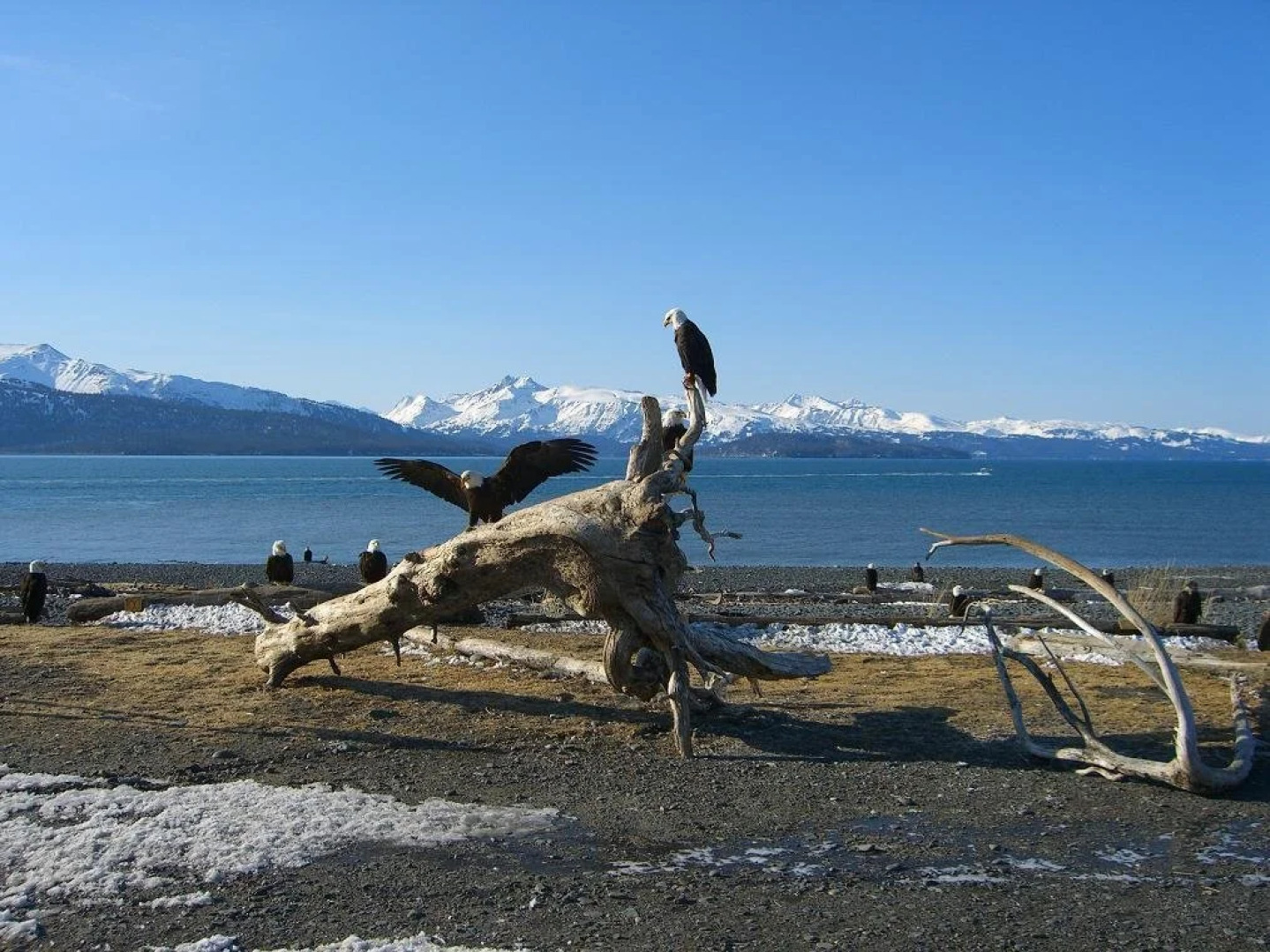 Brigitte's Bavarian B&B