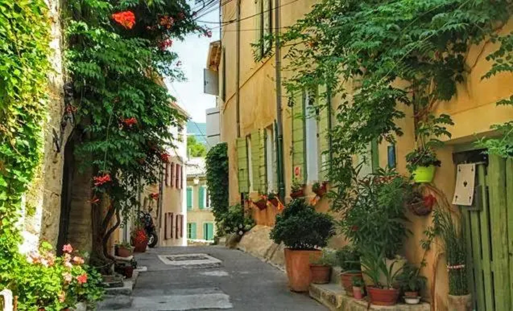 La Bastide des Vasses