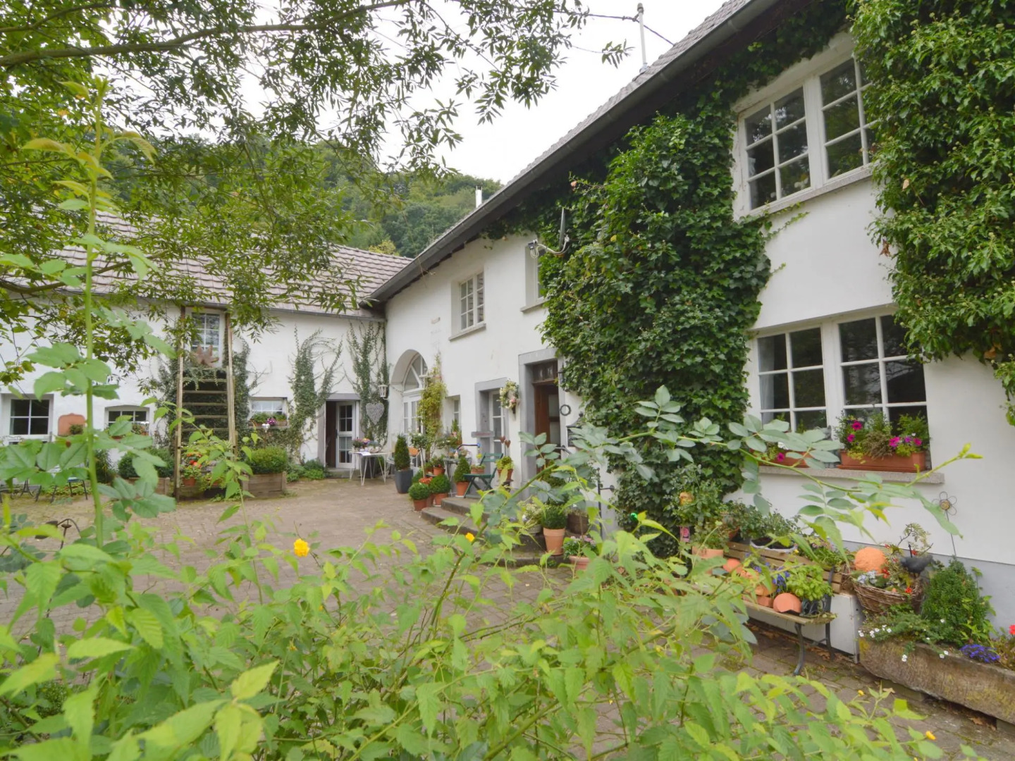 Apartment in Immerath Near Hiking Trails