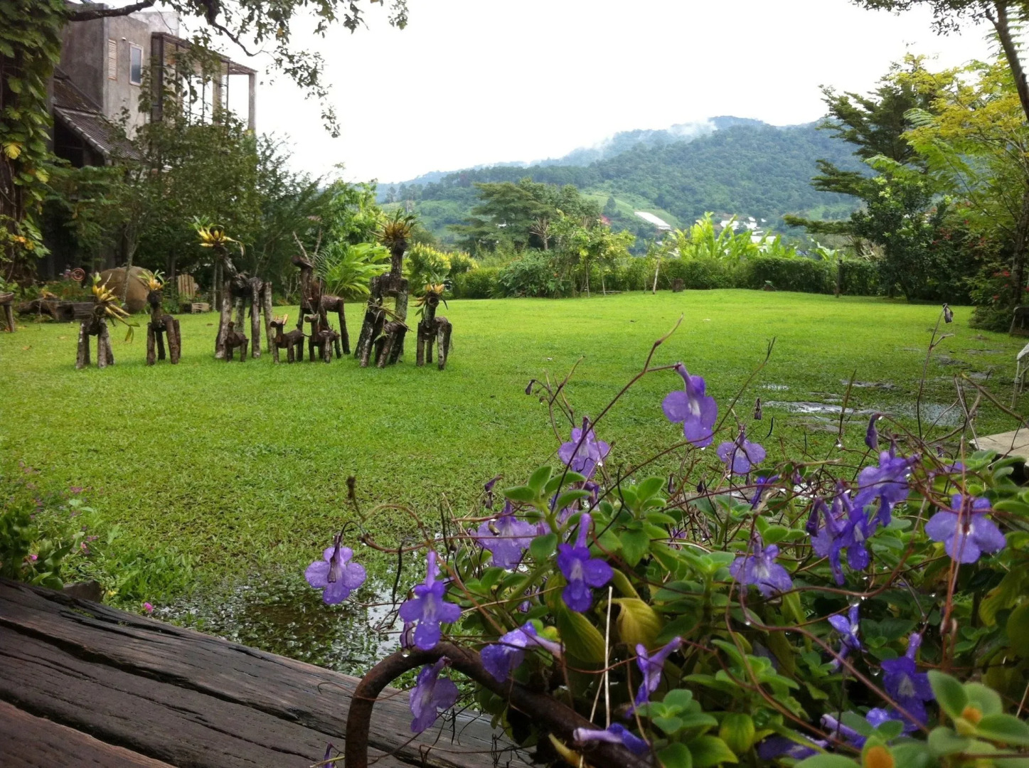 Proud Phu Fah Maerim