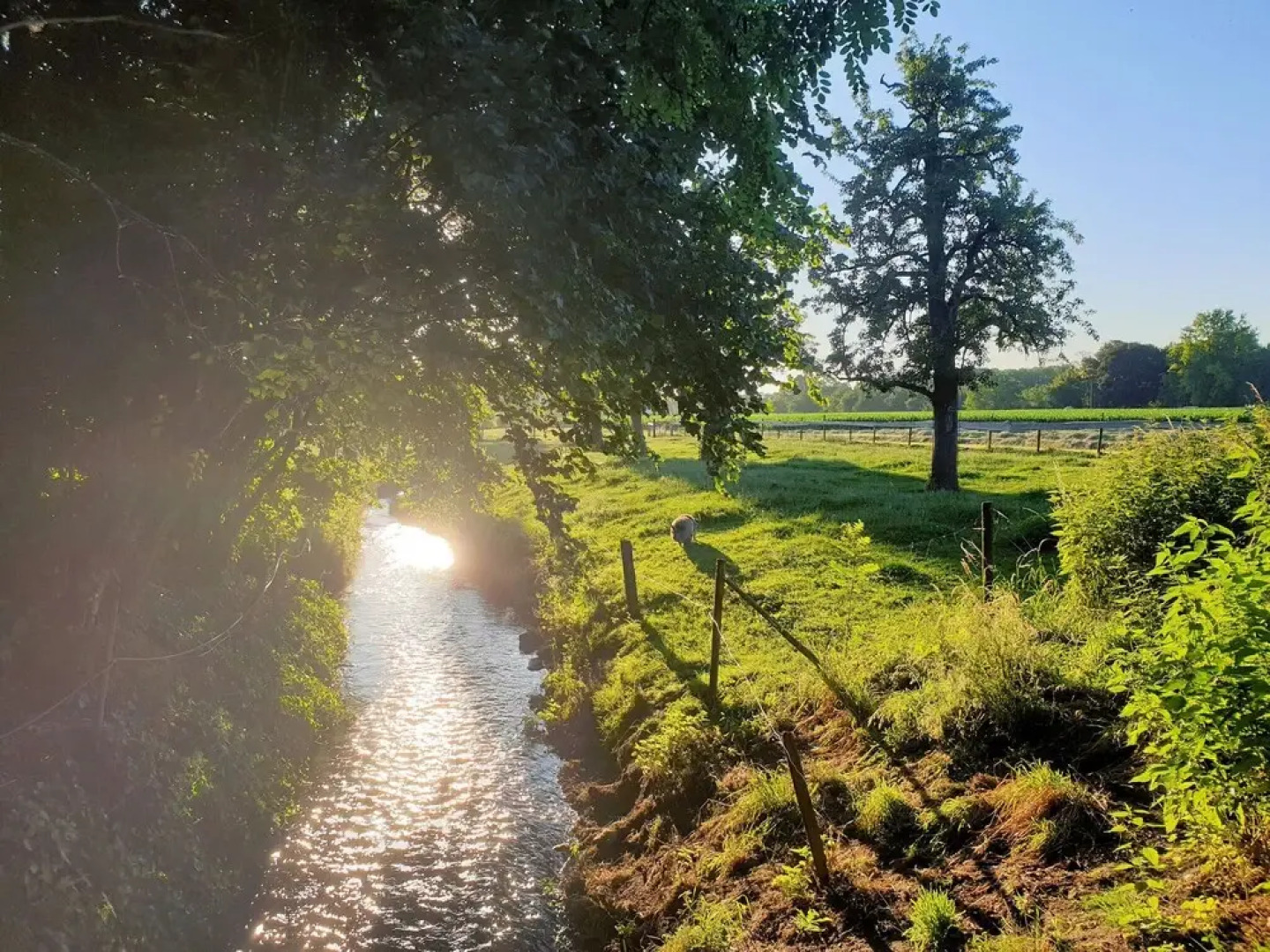 Lovely Apartment In Mesch With Parking