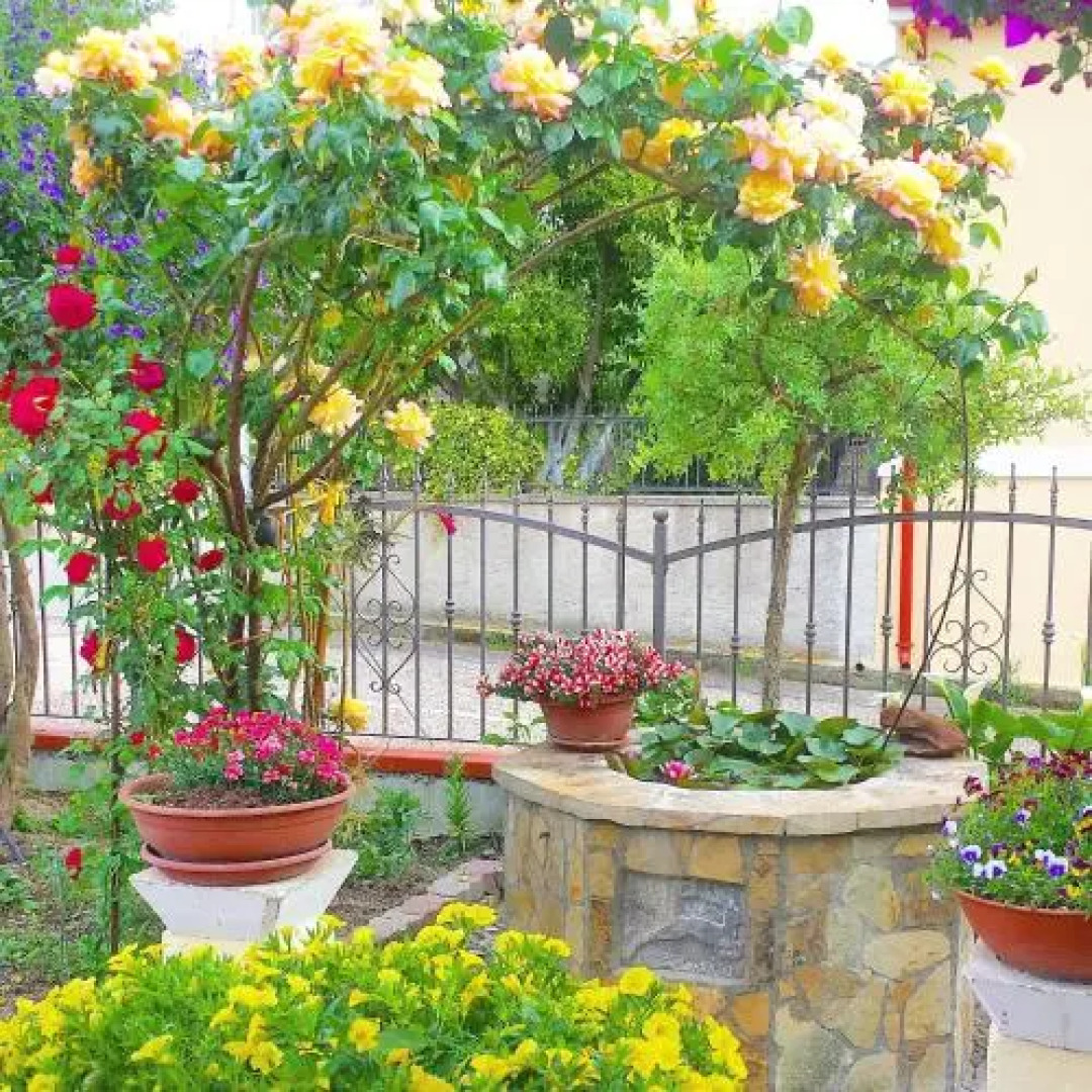 B&b il Giardino da Pina