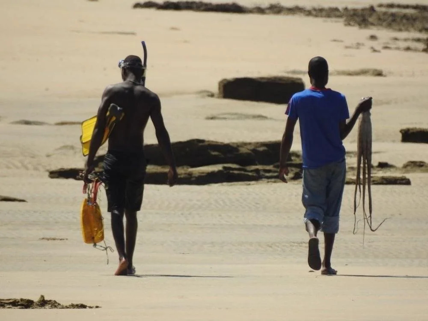 Naara Ecolodge & Spa