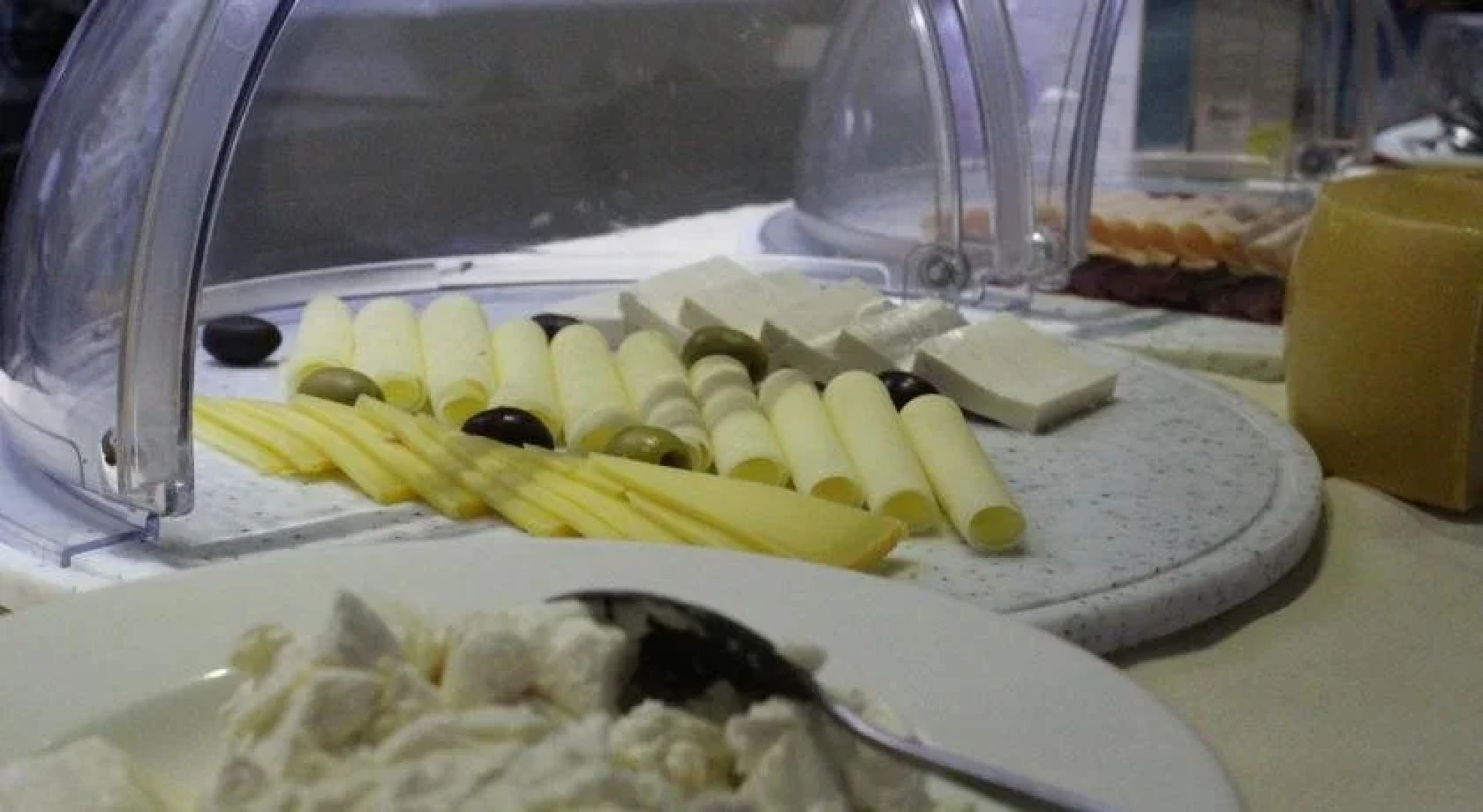 Boutique Bristol Hotel