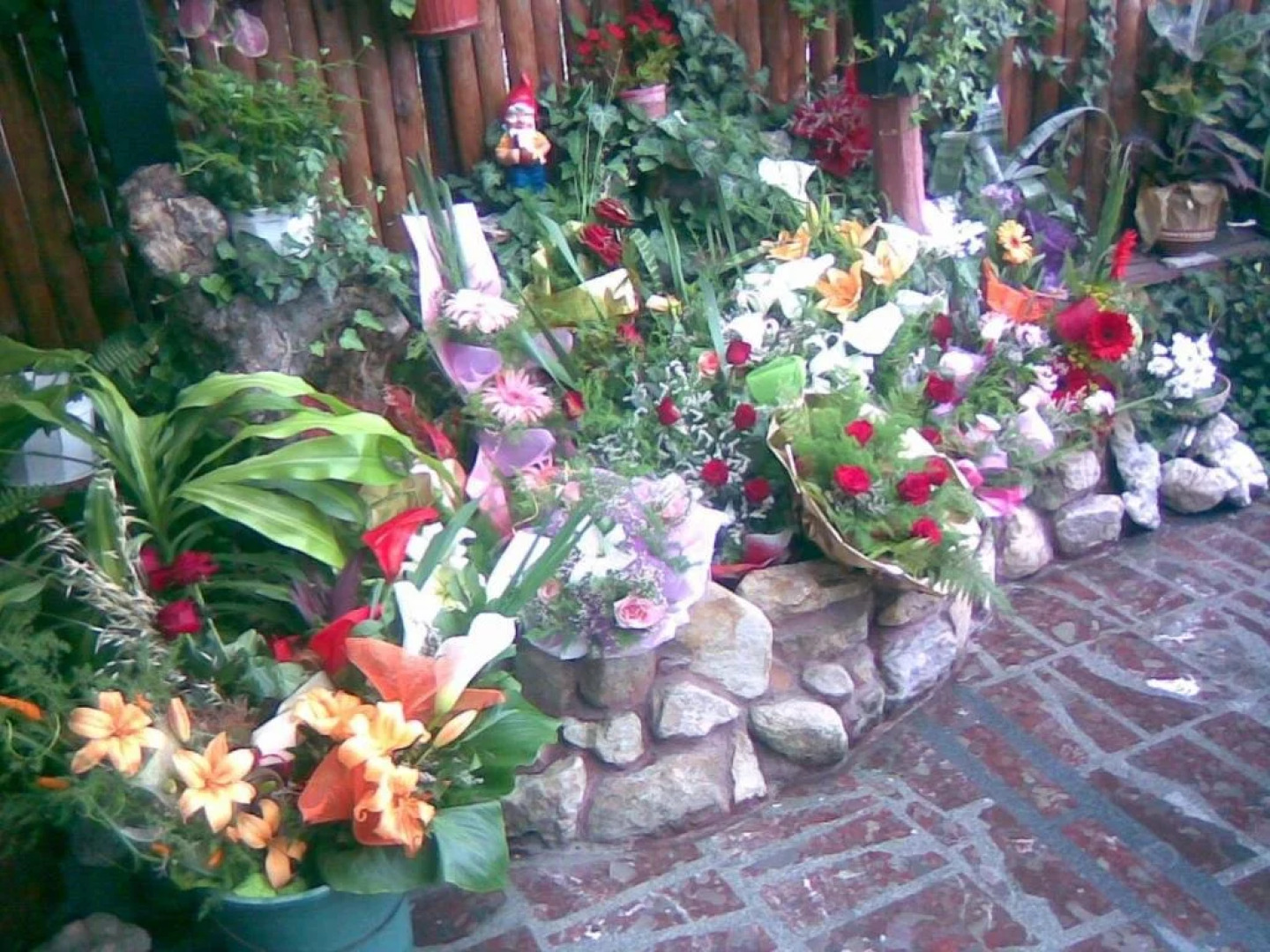 Family Hotel Natalis