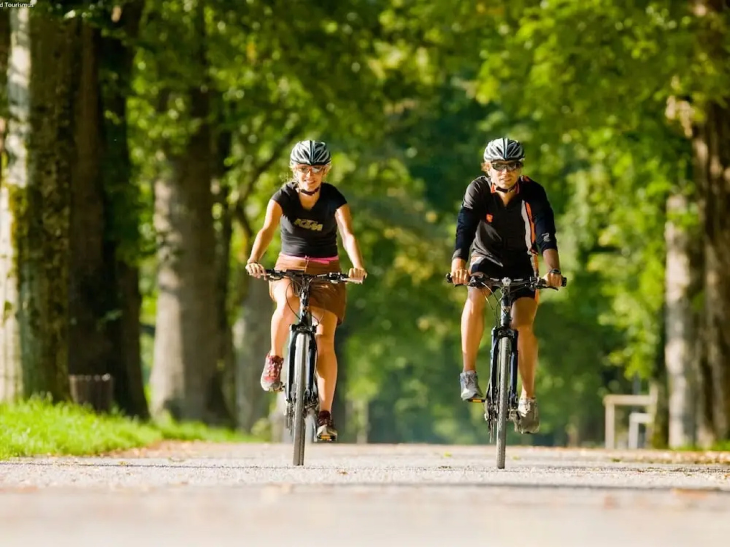 Peaceful Chalet In Thalgau With Mountain View