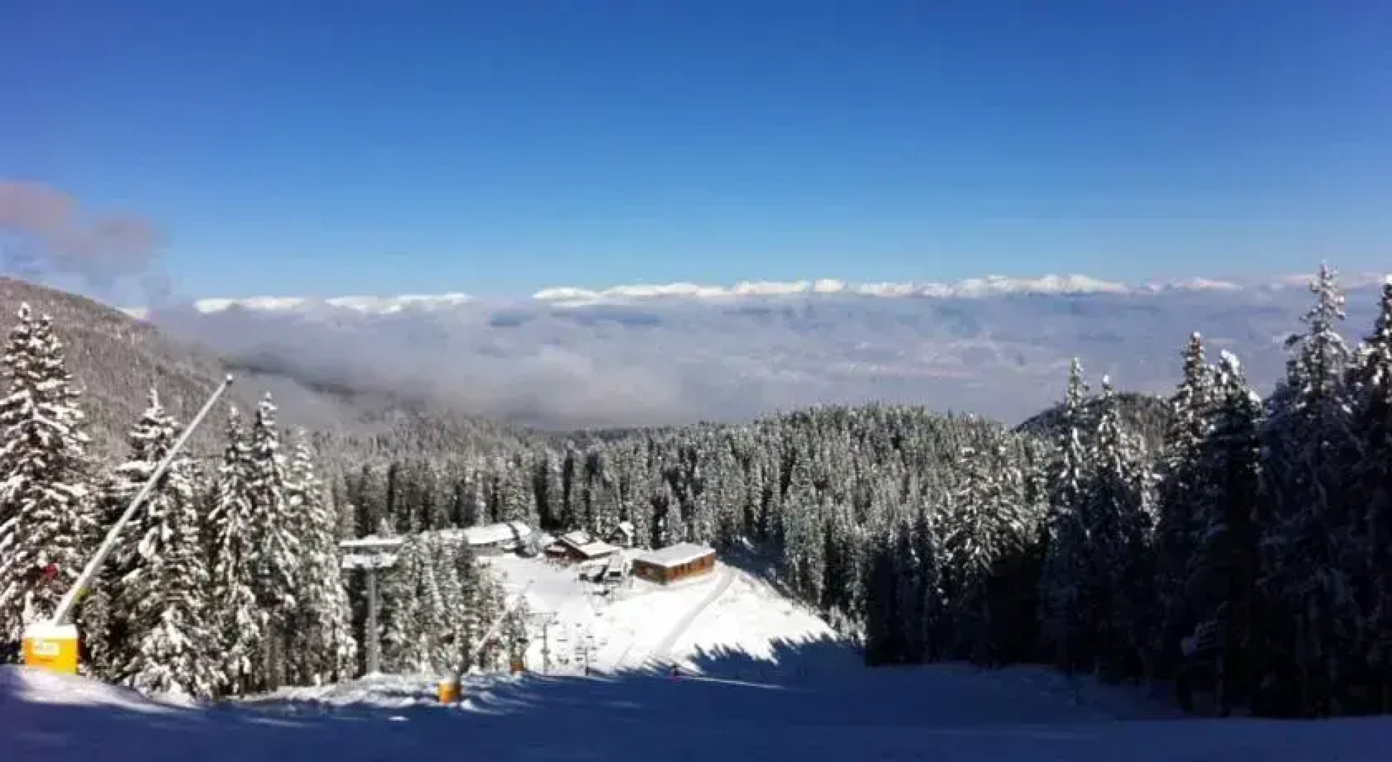 The Green Pine Chalet