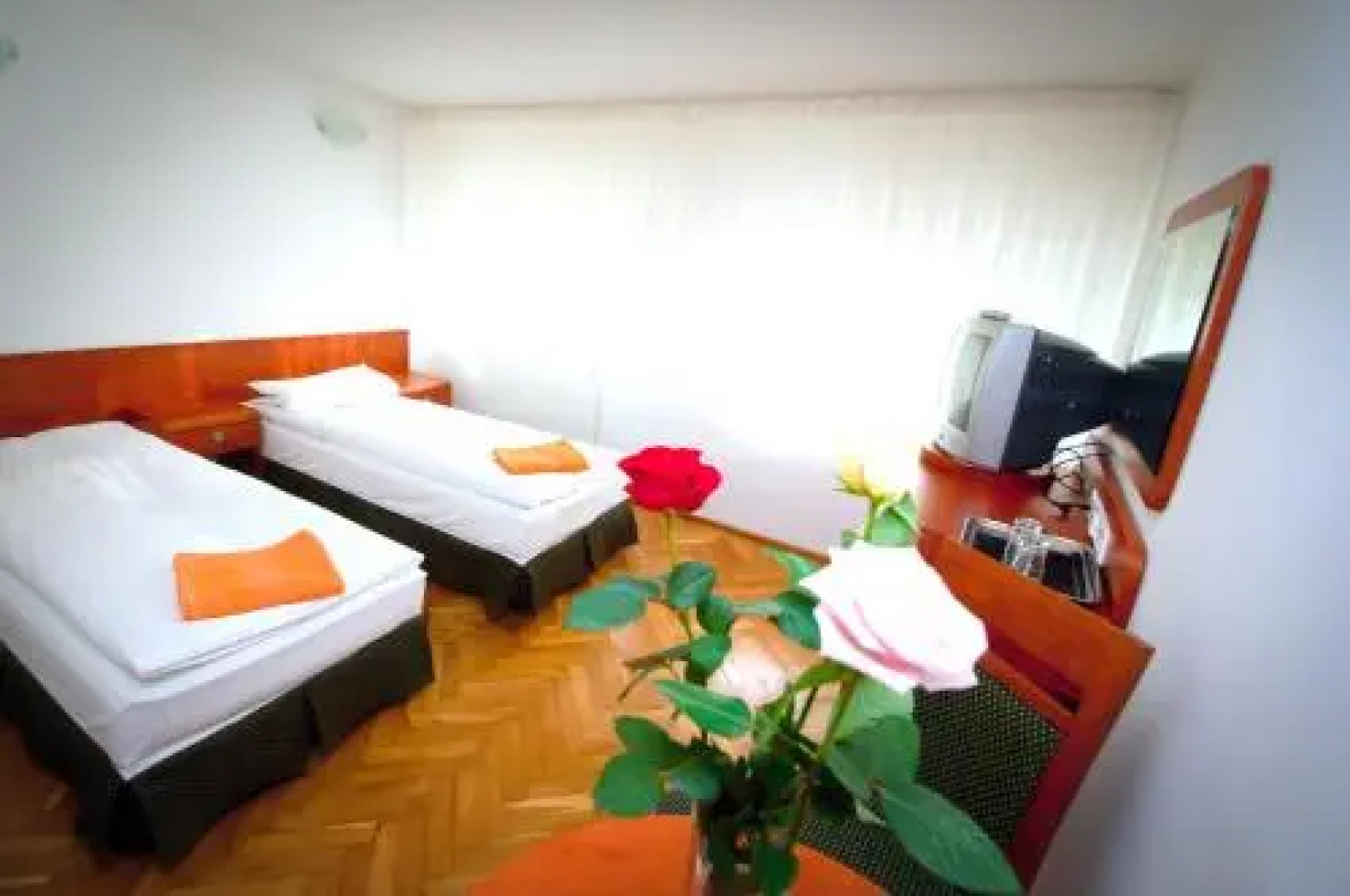 Willa Sarenka Krynica - Zdrój