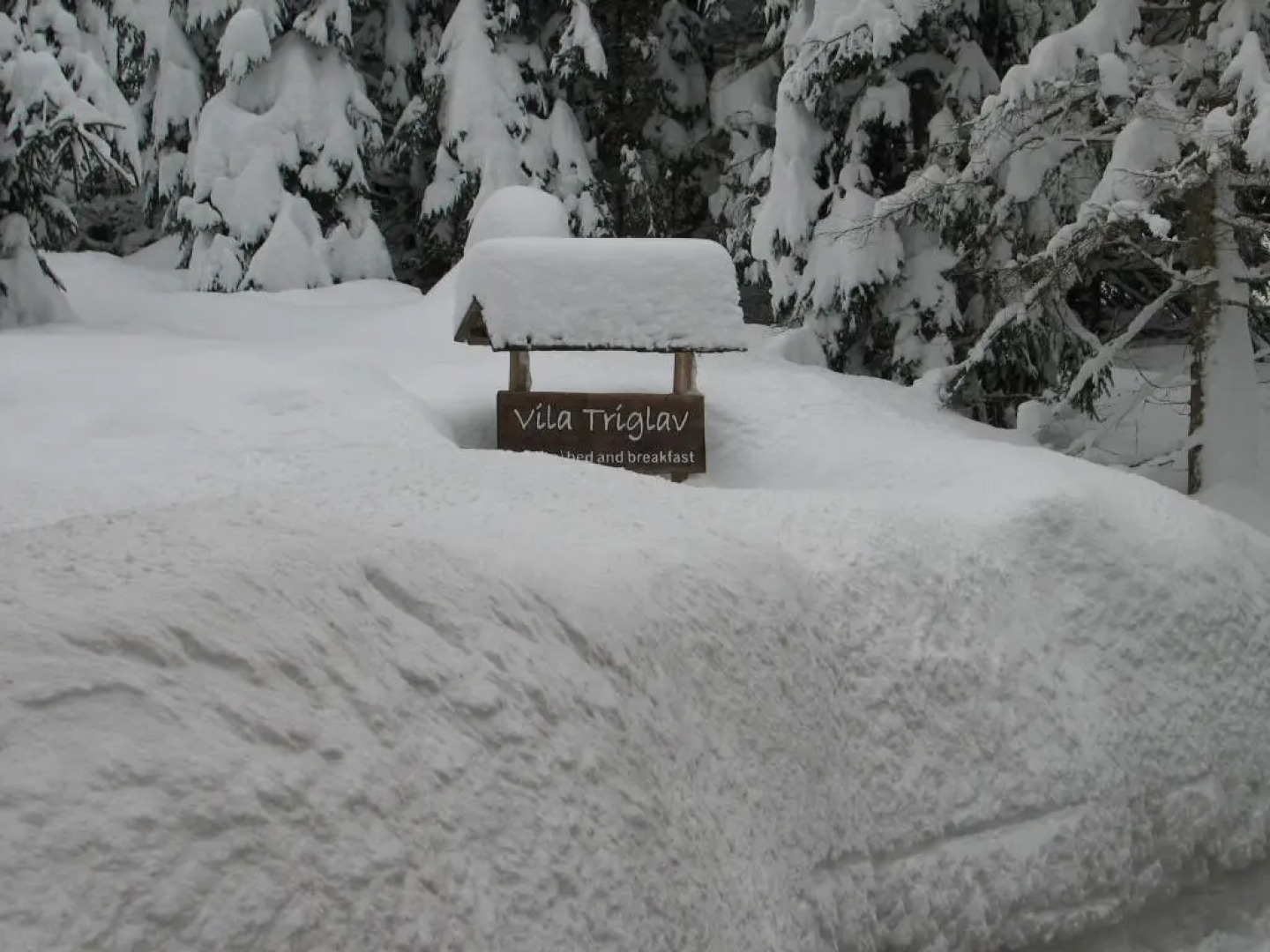 Vila Triglav on Pokljuka