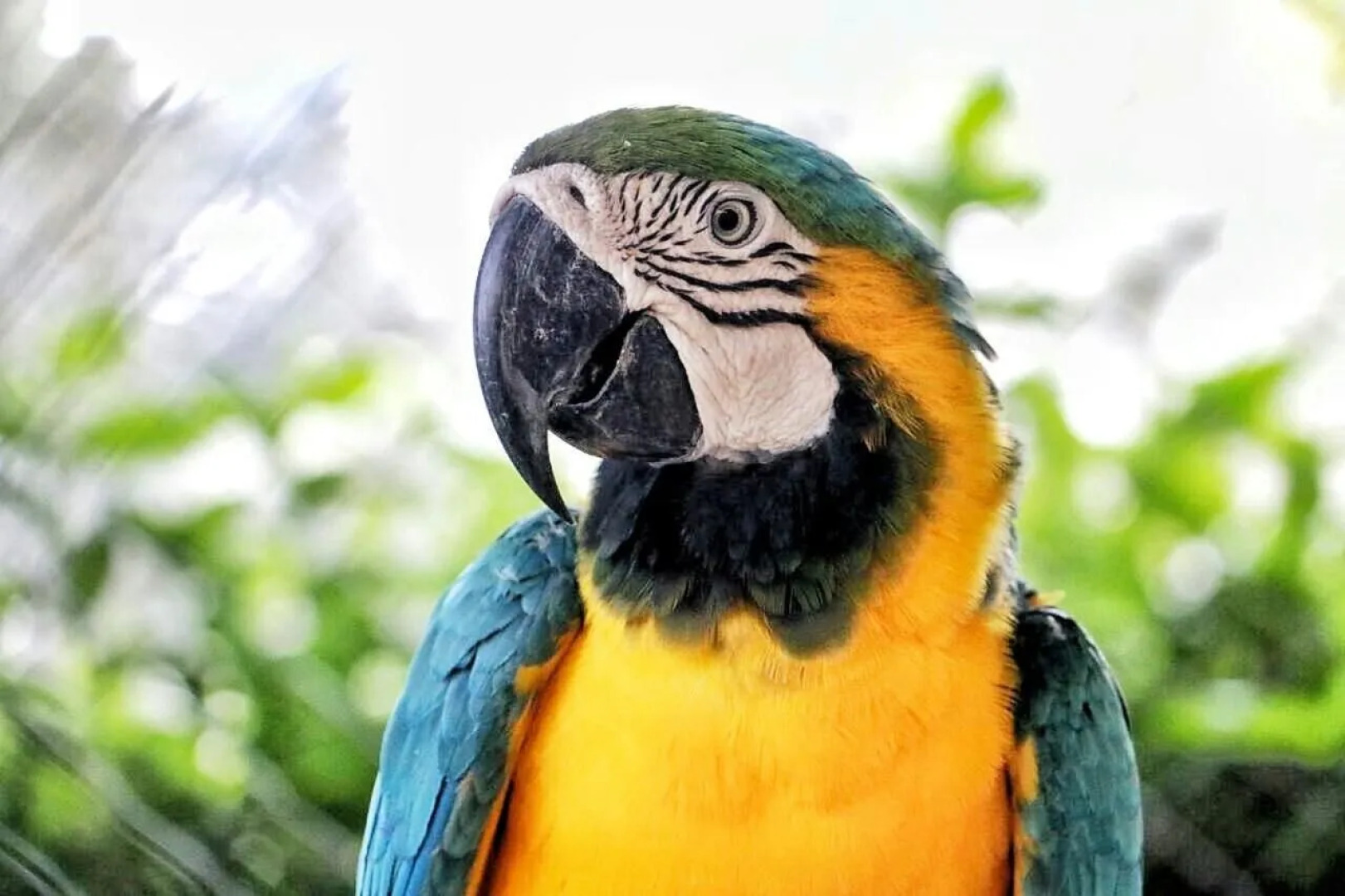 Eco Hotel Villa Martha