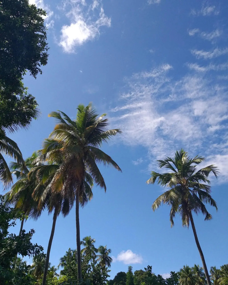 Pousada Vila de Taipa