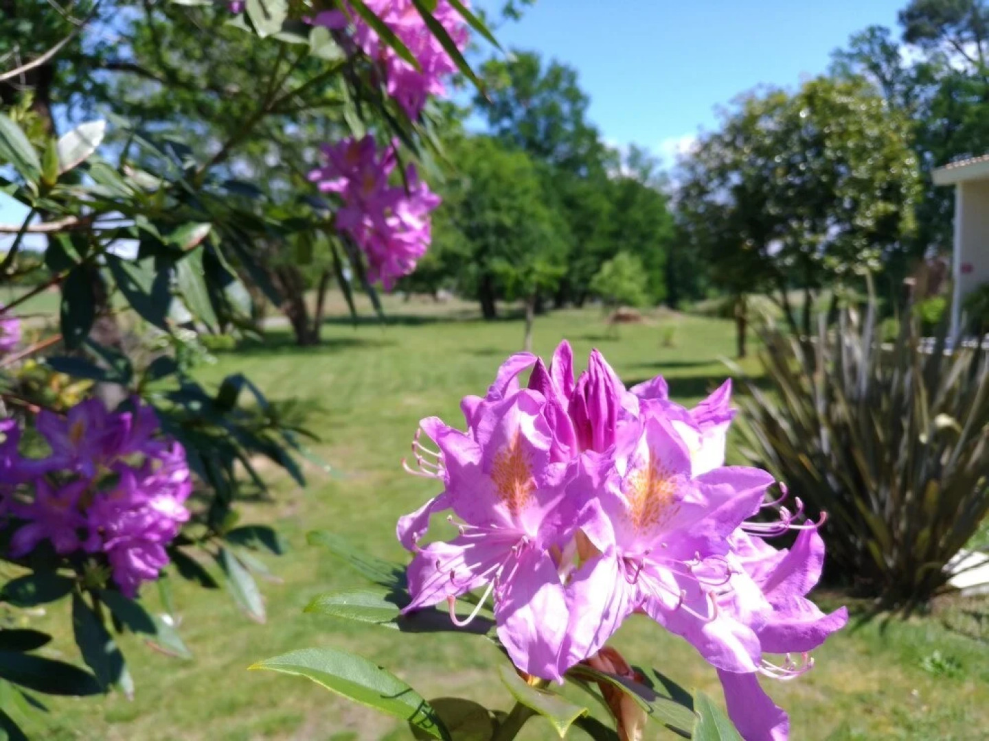 Chambres d'hôtes l'étang de l'aiguille