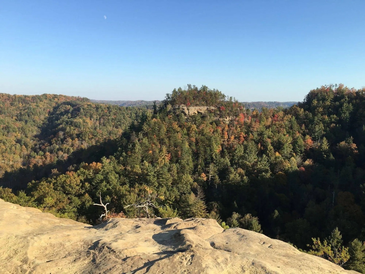 Black Bear Lodge Motel