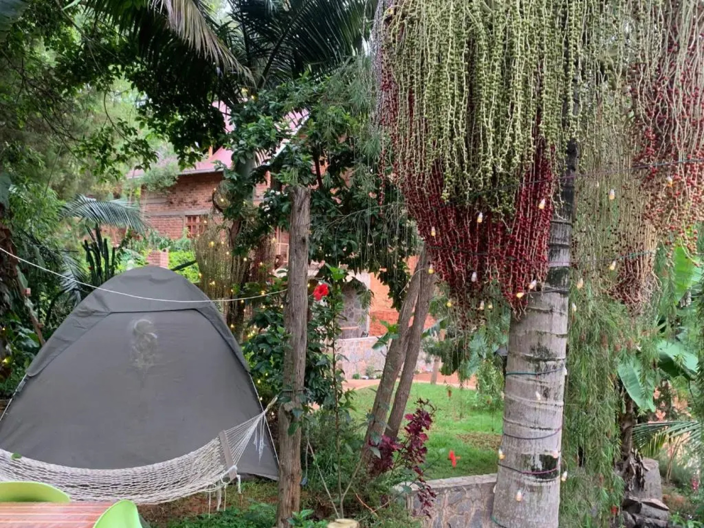 David Crater Homestay