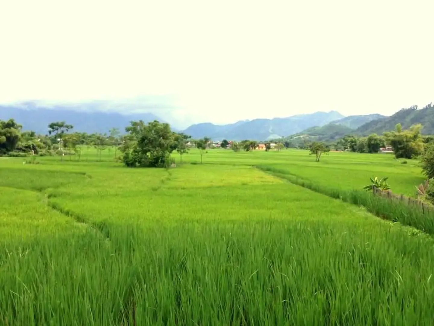 Xoi Homestay Ba Be Lake