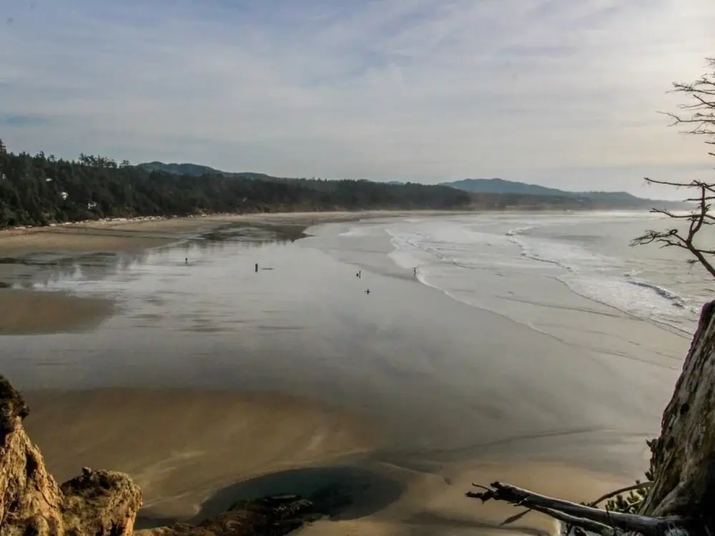 Alpine Chalet 5 Full Loft