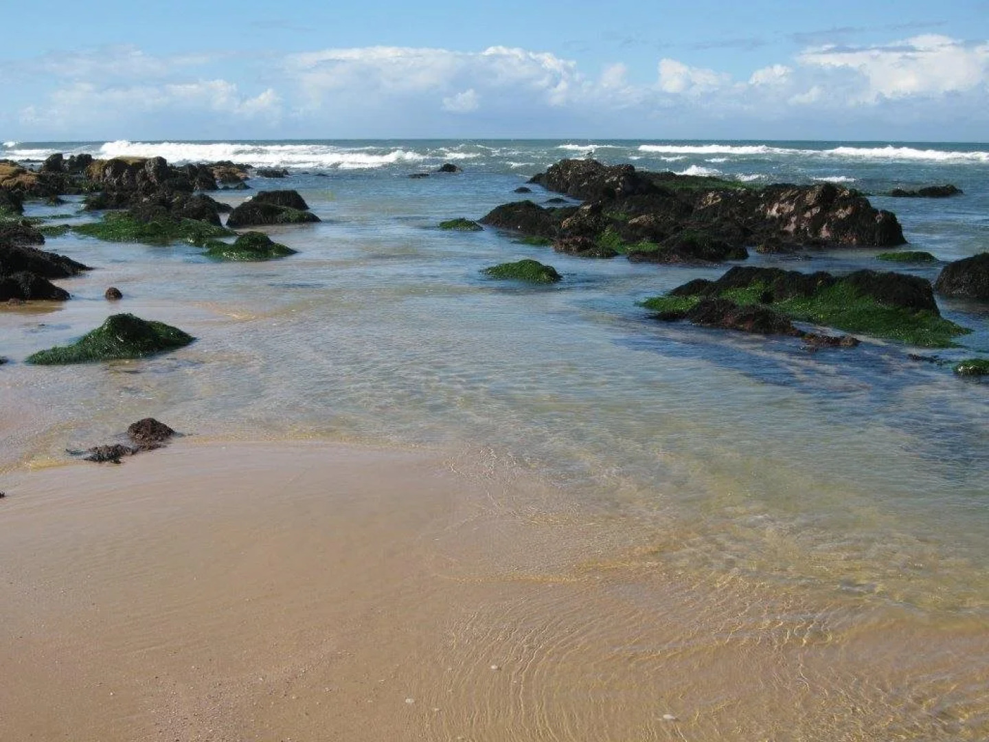 The Lookout Guest House