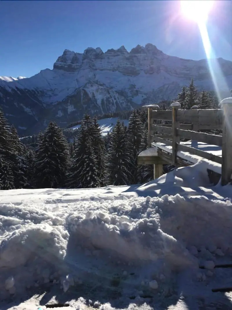 Helvetia Hôtel Résidence