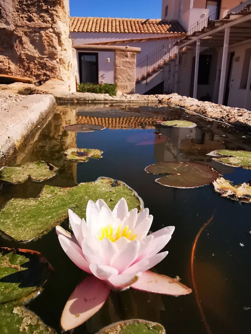 casa vacanze senia del rais