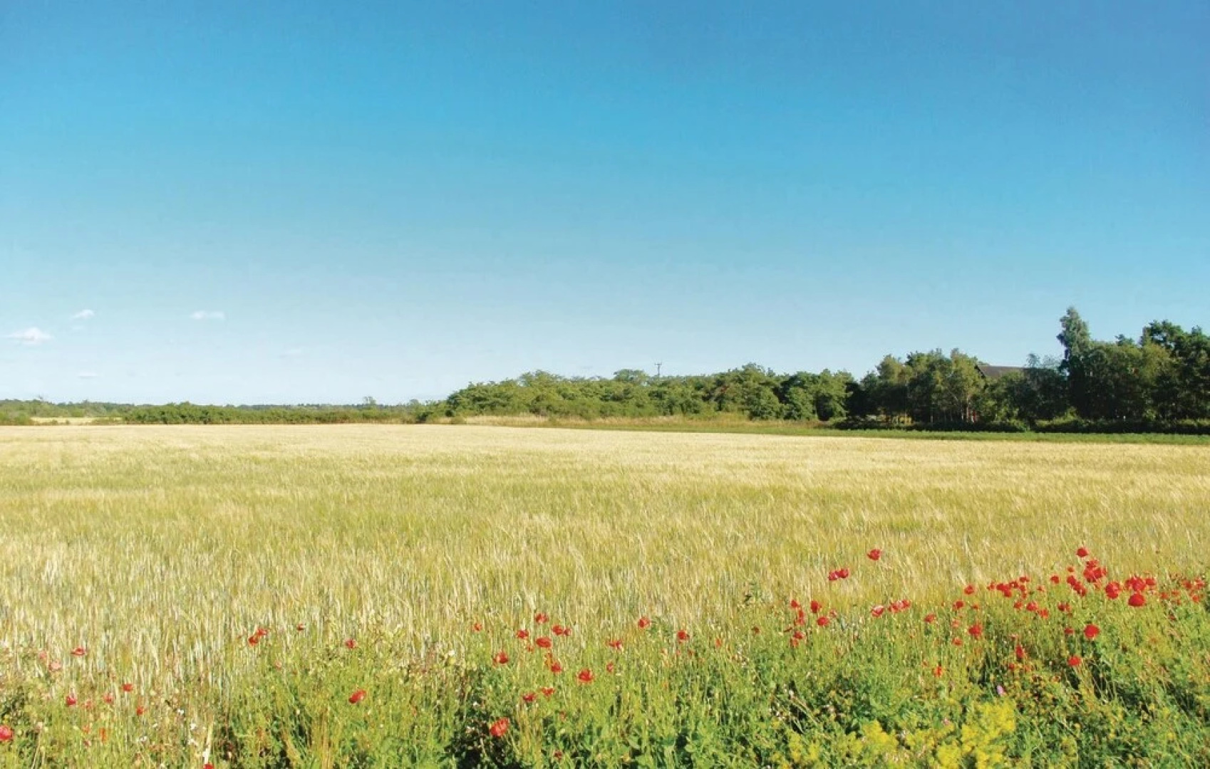 Awesome Home in Visby With 2 Bedrooms and Wifi