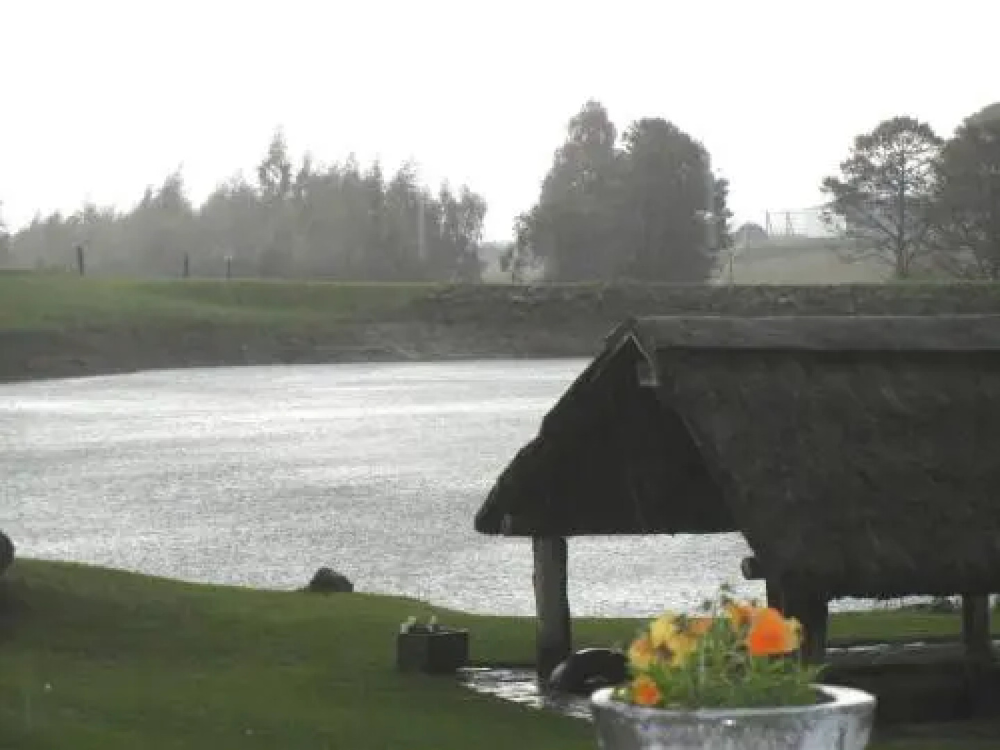 Willowbrooke Cottage