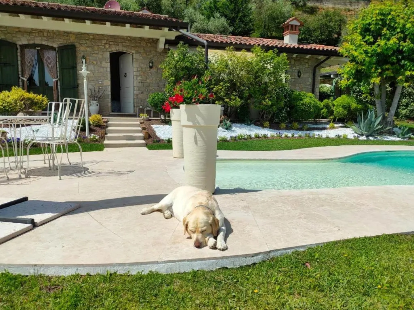 CHALET VELA Natura e Relax