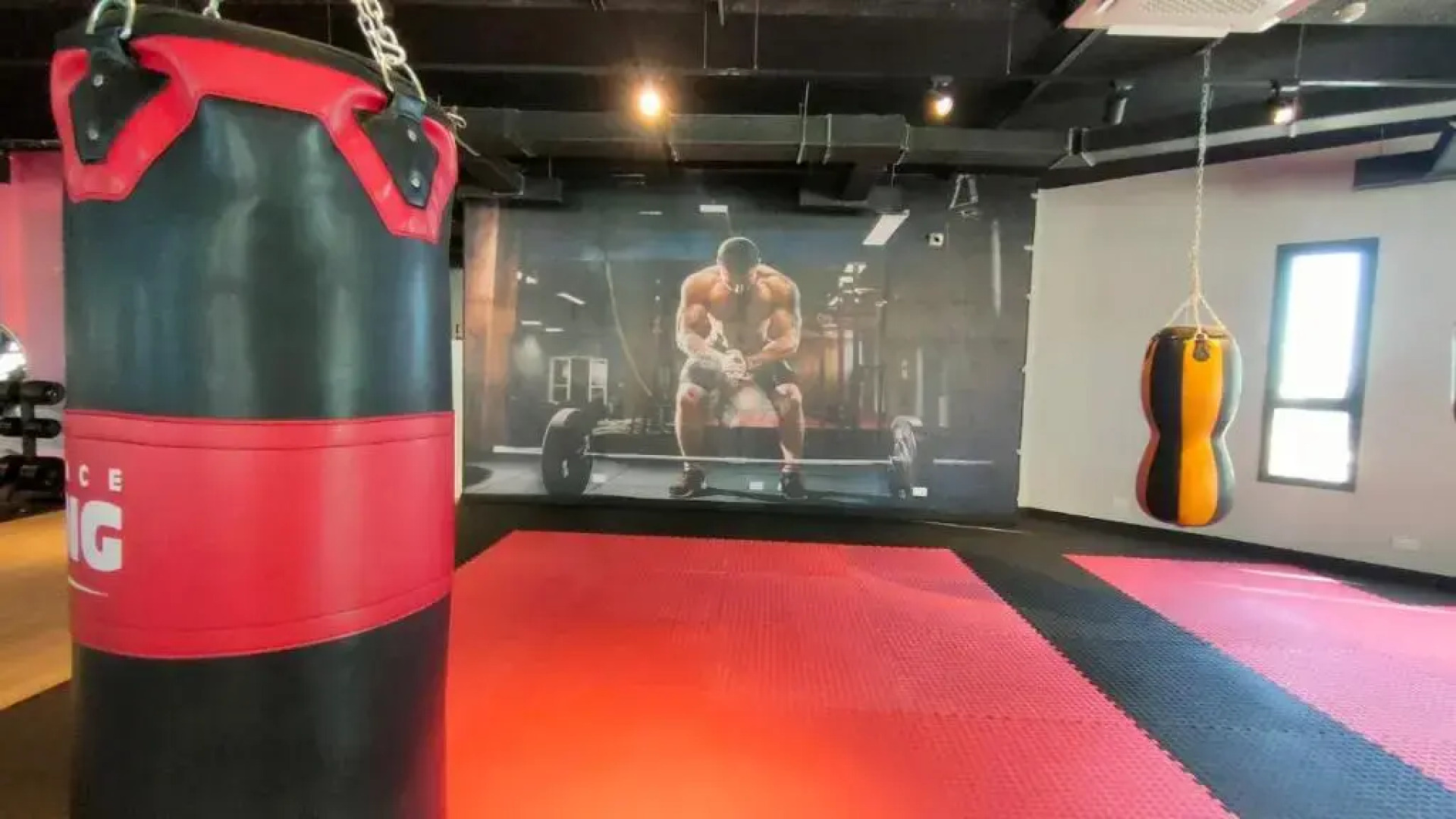 1+1apartment Terra in Caesar Blue with a sea view